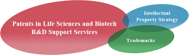 Patents in Life Sciences and Biotech R&D Support Services,Intellectual Property Strategy,Trademarks